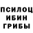 Псилоцибиновые грибы GOLDEN TEACHER Alex Brighidov