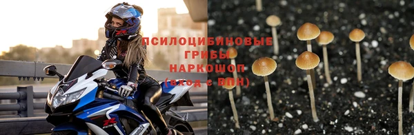бошки Волосово