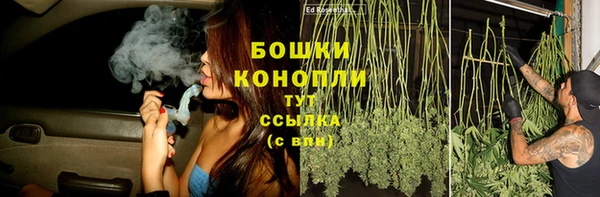первитин Вяземский