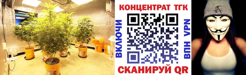 цена Жуков Дистиллят ТГК вейп